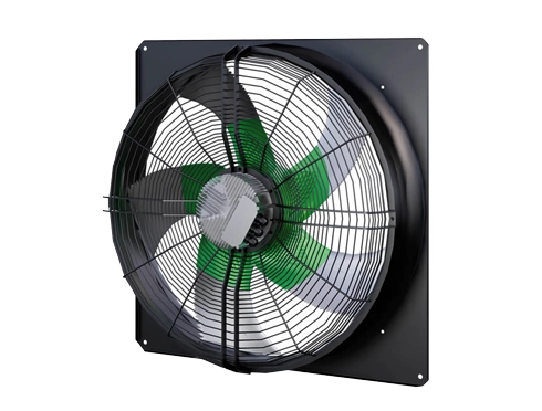 Yilida Fan