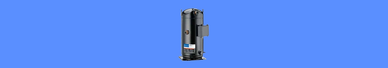 ZP31K5E-PFJ_T