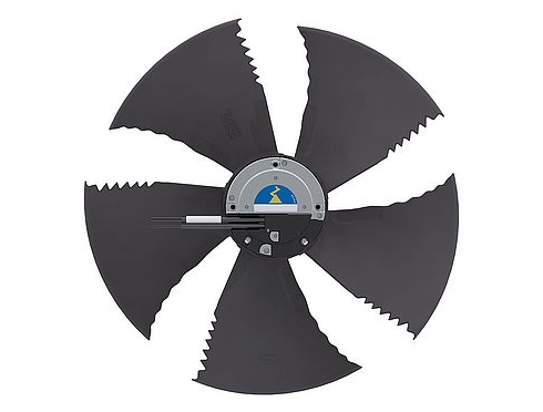 Yilida Fan